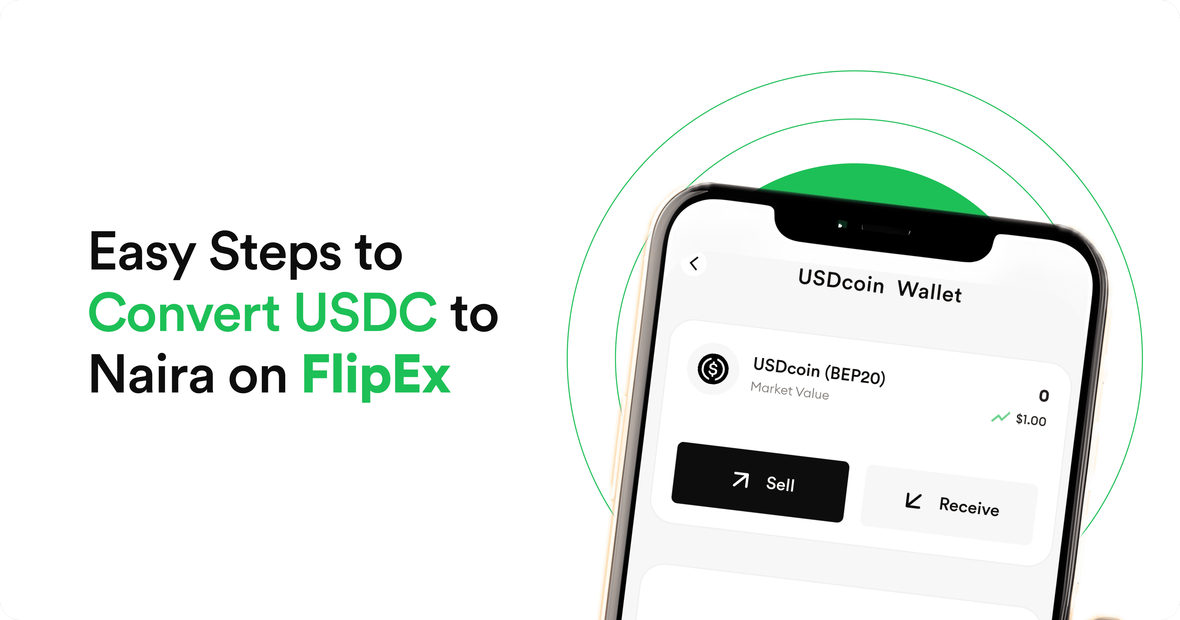 Easy Steps to Convert USDC to Naira on FlipEx
