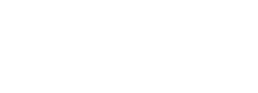 Flipex